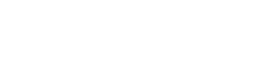 Vigilant Controls